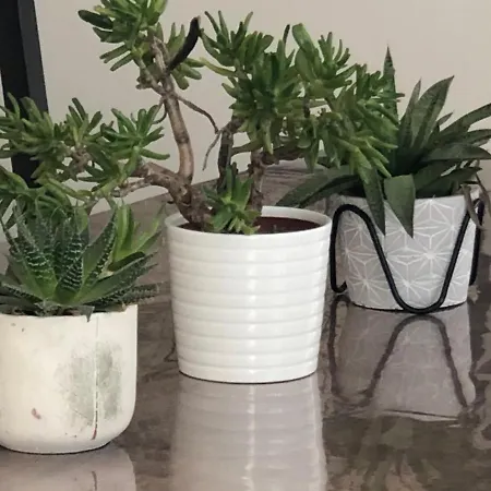 Les Petits Pois Sont Rouges Holiday home Sion-sur-l'Ocean